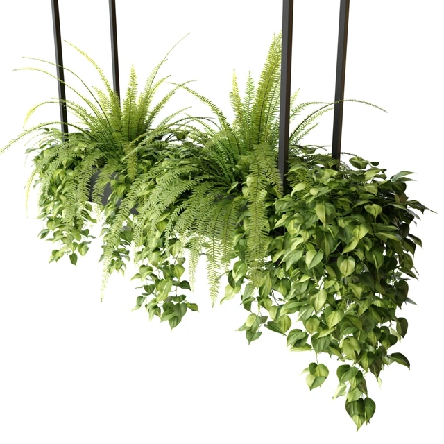 Indoor plants in a hanging rectangular planter — Descargar