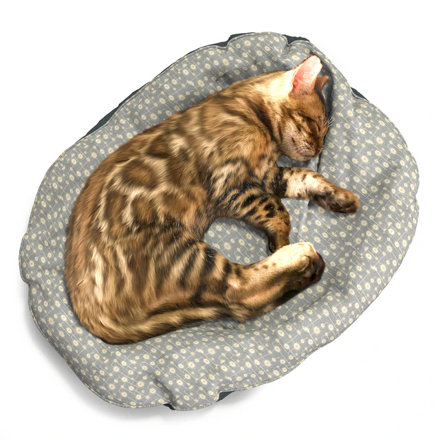 Бенгальский котёнок — Скачать