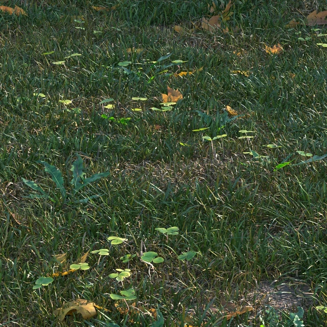 grass set05 with leaves — Descargar