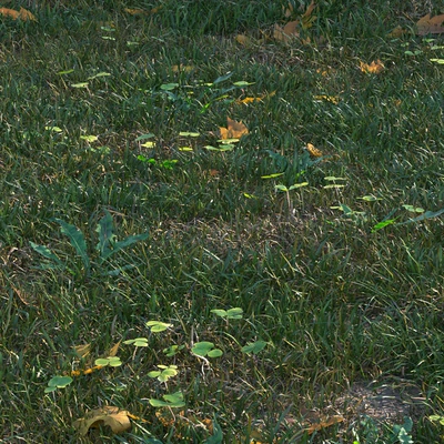 grass set05 with leaves — Ver 5