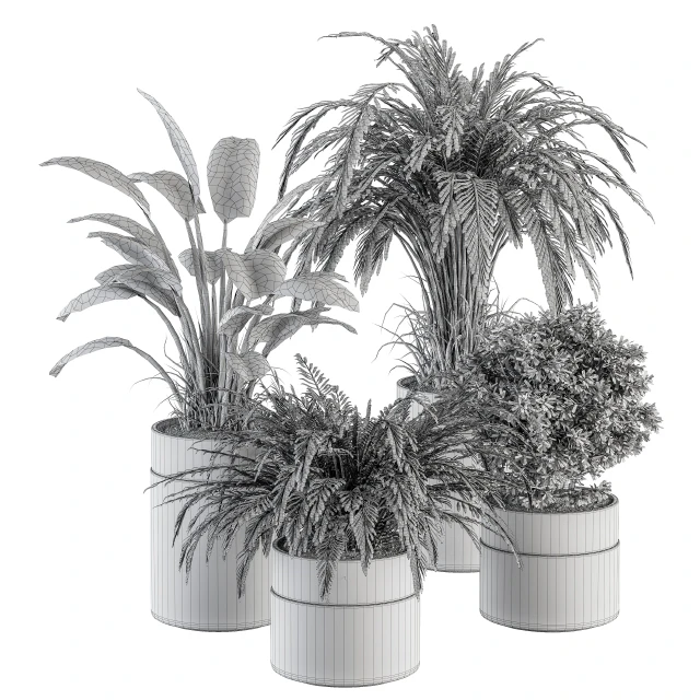 indoor Plant Set 245 - Plant Set in pot — Descargar