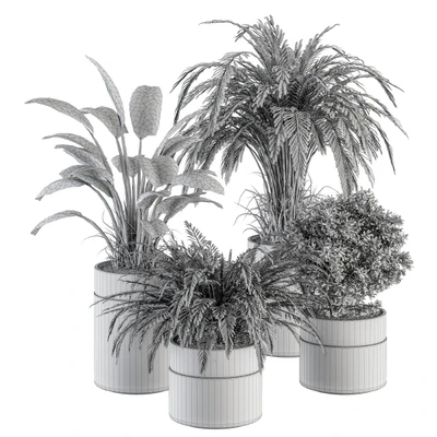 indoor Plant Set 245 - Plant Set in pot — Ver 2