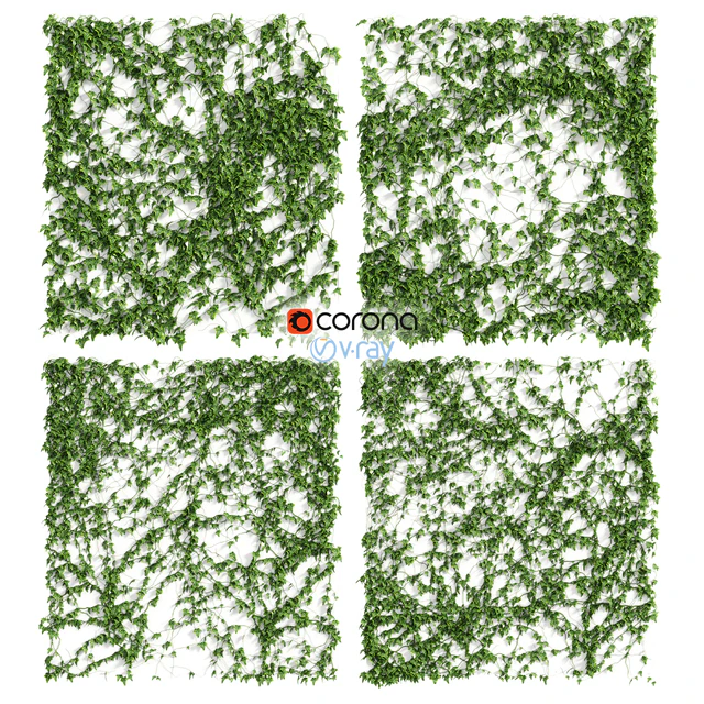 Ivy Wall 4 models — Descargar