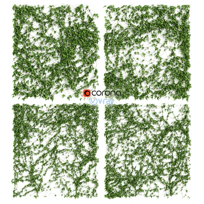 Ivy Wall 4 models — Ver 3