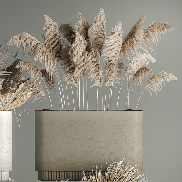 Collection of plant bouquets of dried flowers, moonflower, dry palm branches, dry grass, natural decor .1121. — Descargar