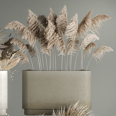 Collection of plant bouquets of dried flowers, moonflower, dry palm branches, dry grass, natural decor .1121. — Ver 5