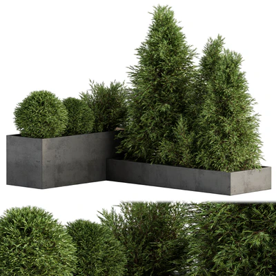 Outdoor Plant Set 231 - Plant Box with Tree — Ver 1