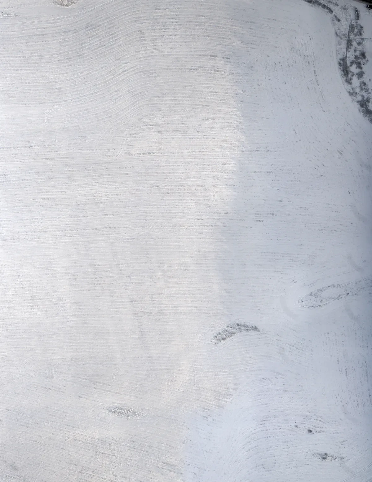 field winter 004 — Descargar