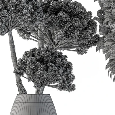 Dry plants 22 - Big Pampas asteroid Pot — Вид 3