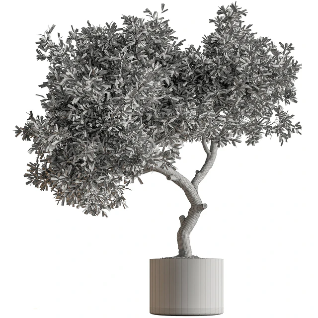 Indoor Plant 573 -Tree in Pot — Descargar