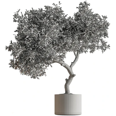 Indoor Plant 573 -Tree in Pot — Ver 5