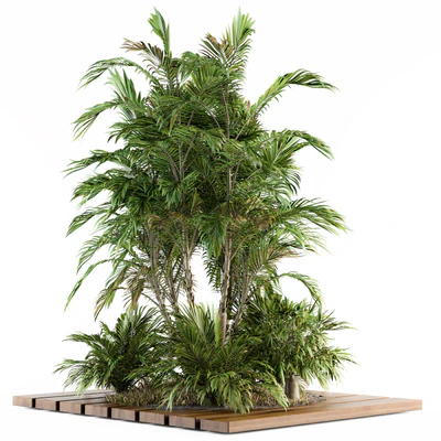Garden set Tropical bush and Tree - Garden Set 05 — Вид 3