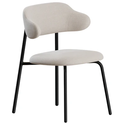 Aloa Dining Chair 02 by Artifort — Ver 1