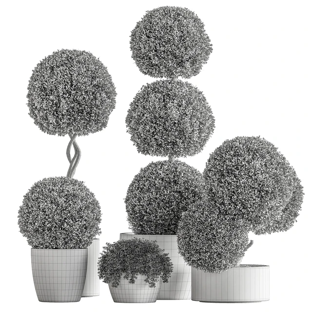 Indoor Plant 637 -Topiary Ball — Descargar