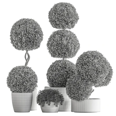Indoor Plant 637 -Topiary Ball — Ver 4