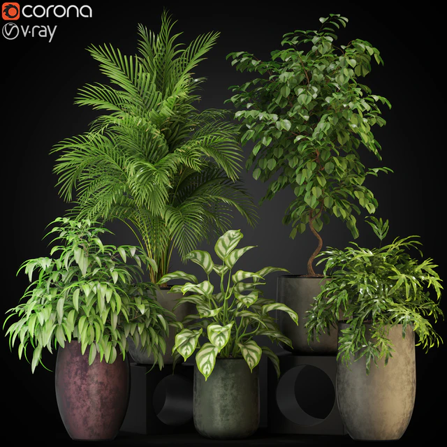 Plants collection 269 — Descargar