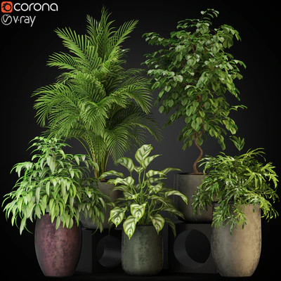 Plants collection 269 — Ver 1
