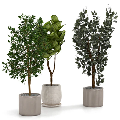 Houseplants set — Ver 4