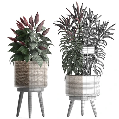 Plant Collection 424. Kitchen garden, basket, rattan, herbs, pepper, chili, vegetables, eco design, kitchen garden, nature decor — Ver 3