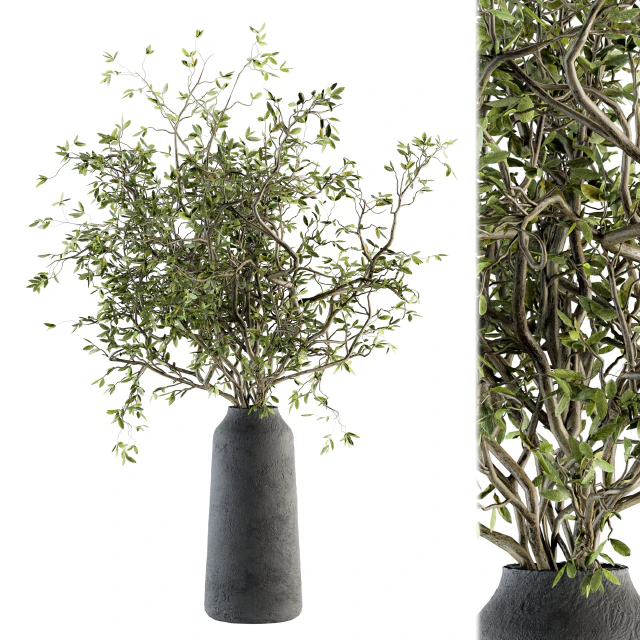 Bouquet - Green Branch in vase 40 — Descargar