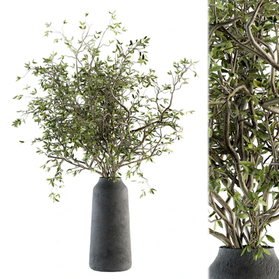 Bouquet - Green Branch in vase 40 — Ver 1