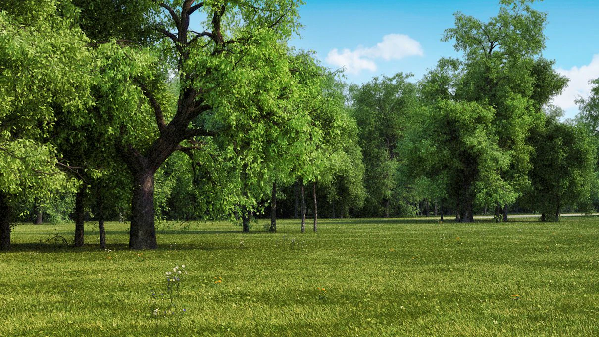 itrees vol 002 summer — Descargar