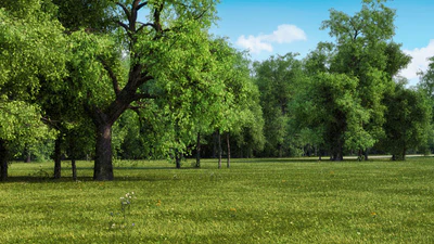 itrees vol 002 summer — Descargar
