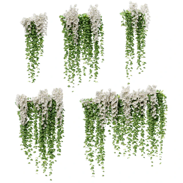 Hanging plants with white orchid flowers — Descargar