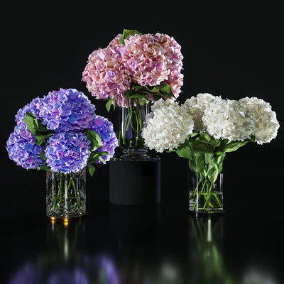 Hydrangea set 002 — Вид 1