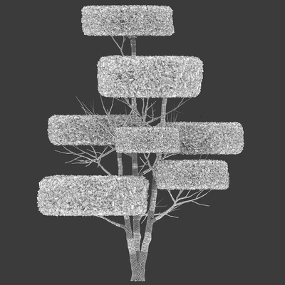 Topiary trees — View 2