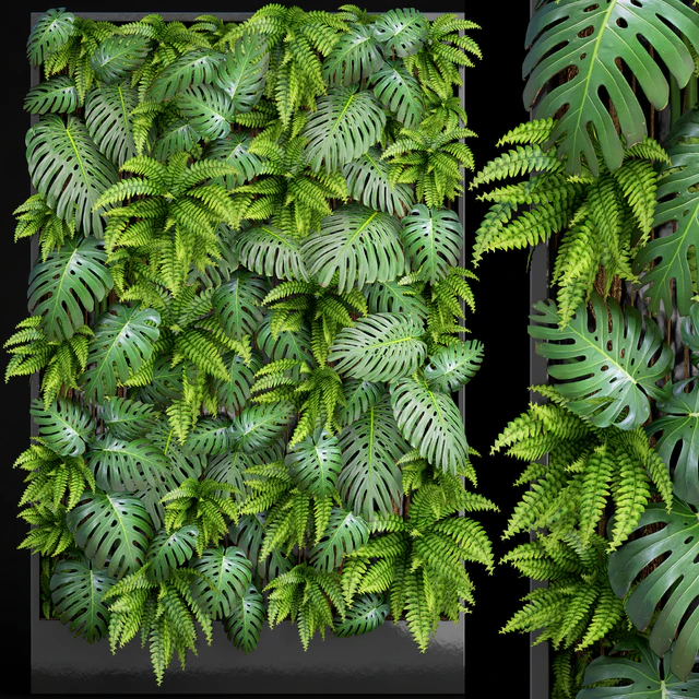 Fytowall 1. Vertical garden, phytowall, phytomodl, landscaping, green picture, bush, wall decor, branches, monstera, fern, eco, eco decor, loft — Descargar