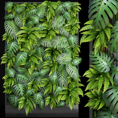 Fytowall 1. Vertical garden, phytowall, phytomodl, landscaping, green picture, bush, wall decor, branches, monstera, fern, eco, eco decor, loft — Ver 1