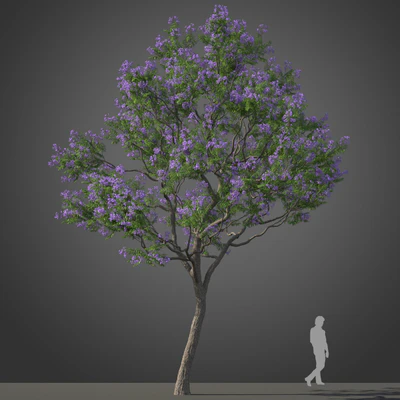 subtropical trees 015 — Скачать