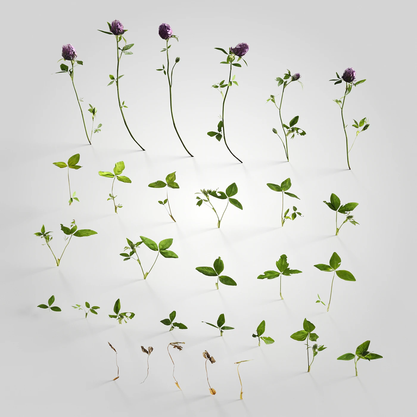 low poly plants 007 — Скачать