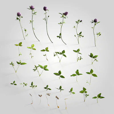 low poly plants 007 — Скачать