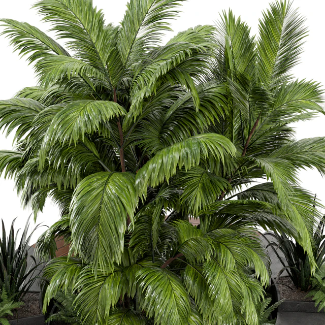 Outdoor Garden set bush and Tree - Garden Set 158 — Descargar
