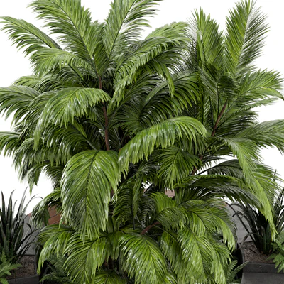 Outdoor Garden set bush and Tree - Garden Set 158 — Ver 6