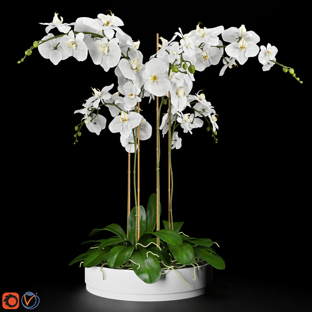 Orchid 5 — Скачать