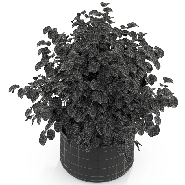 Plants collection 246 — Скачать
