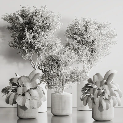 Indoor Plant Set 121 — Вид 5