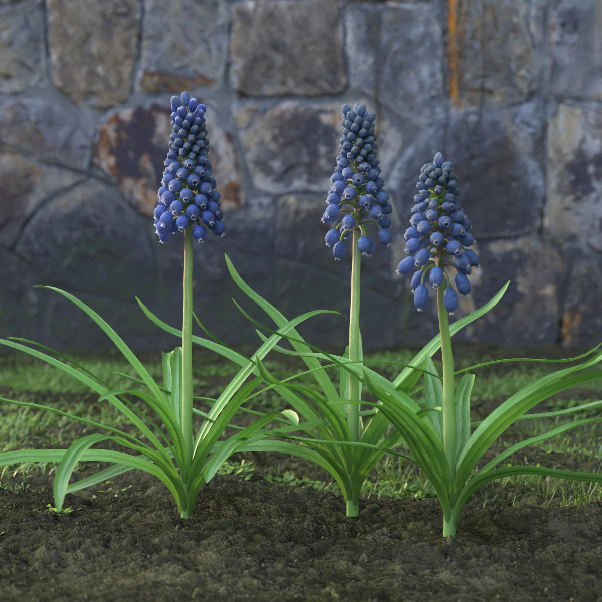 garden flowers 053 — Скачать