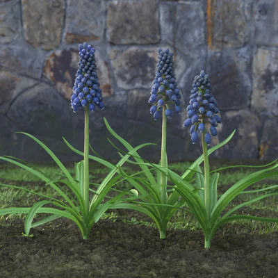 garden flowers 053 — Скачать