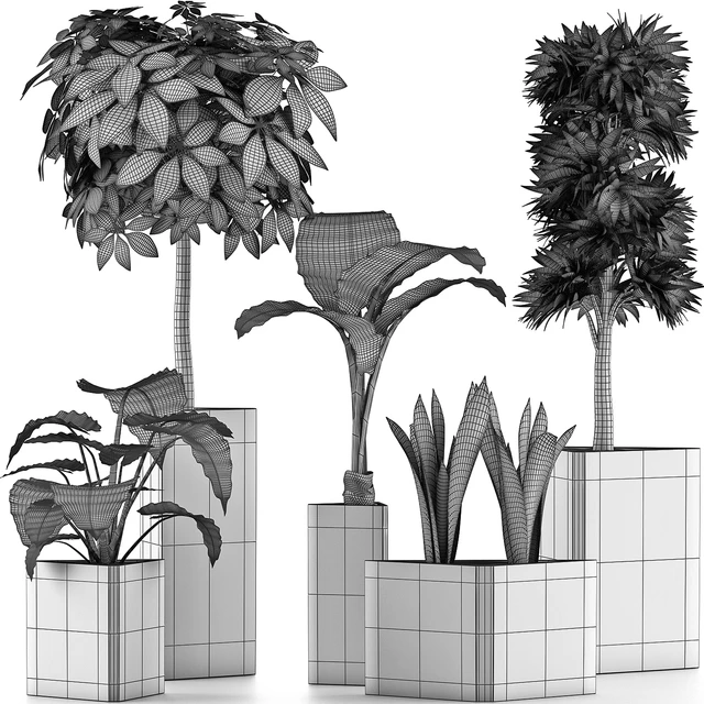 Plants Collection 39 — Descargar