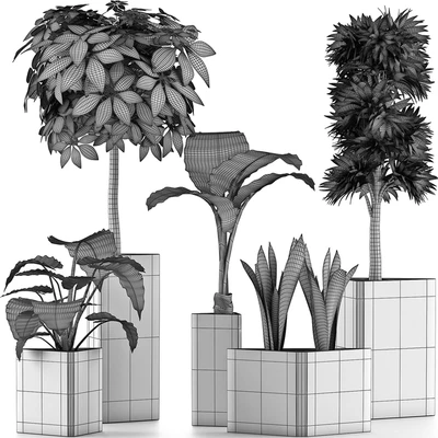 Plants Collection 39 — Ver 4