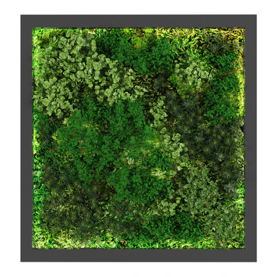 vertical garden178 — Ver 1