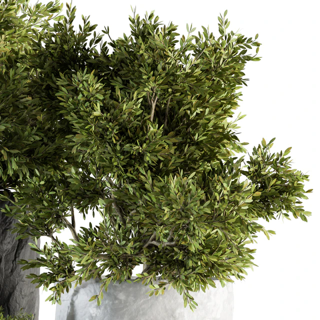 Outdoor Plants tree in Rock Pot - Set 136 — Скачать