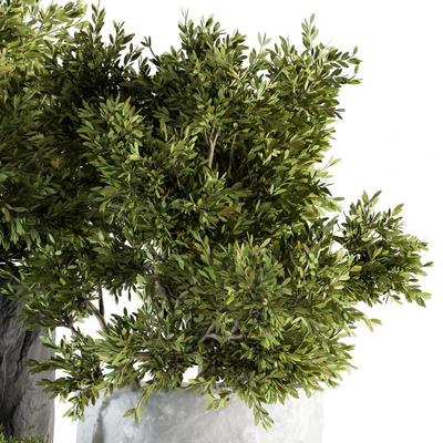 Outdoor Plants tree in Rock Pot - Set 136 — Вид 4