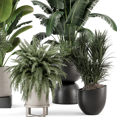Indoor Plants in rusty Concrete Pot - Set 1167 — Ver 3