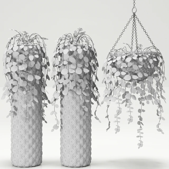Plants in pots — Descargar