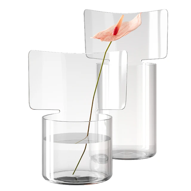 Riflessi vase by Paola C with Anthurium flower — Descargar